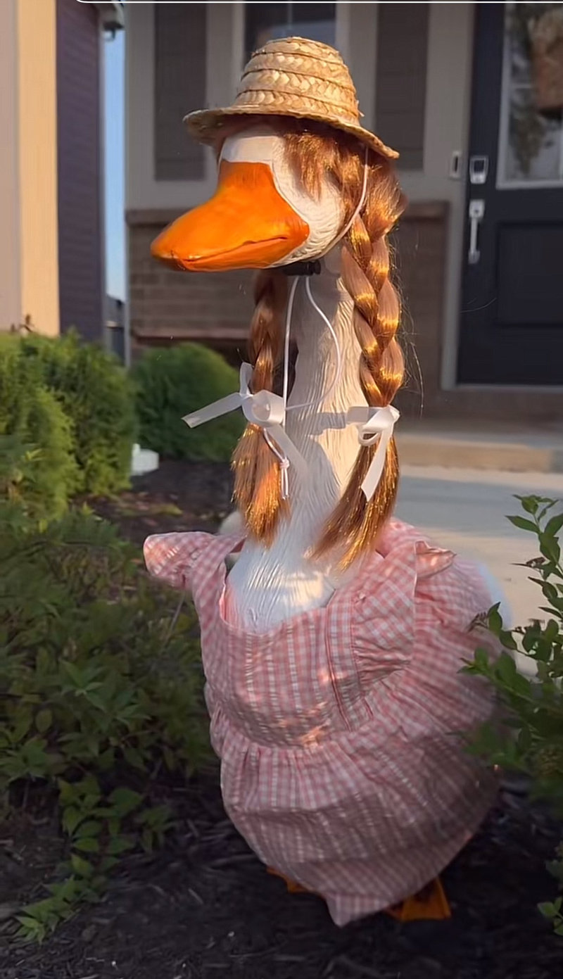Lucy Goosey the porch goose wearing the nine month baby outfit